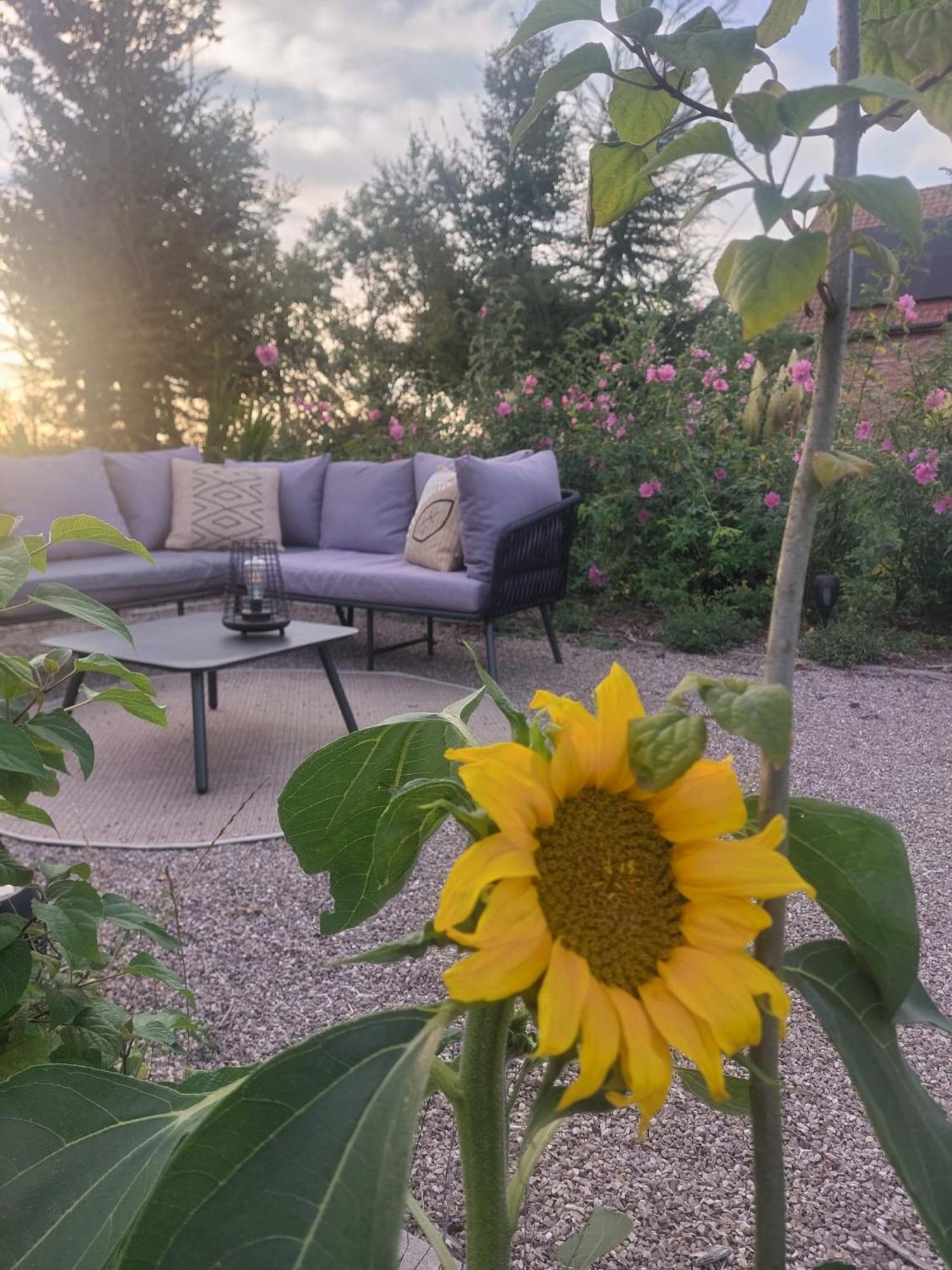 De Weldoeninge Villa Wingene Bagian luar foto